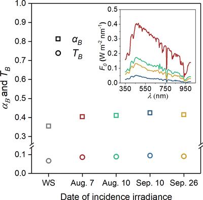 Impact of Microstructure on Solar Radiation Transfer Within Sea Ice During Summer in the Arctic: A Model Sensitivity Study